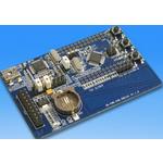 SK-FM0-V48-S6E1A1 Image
